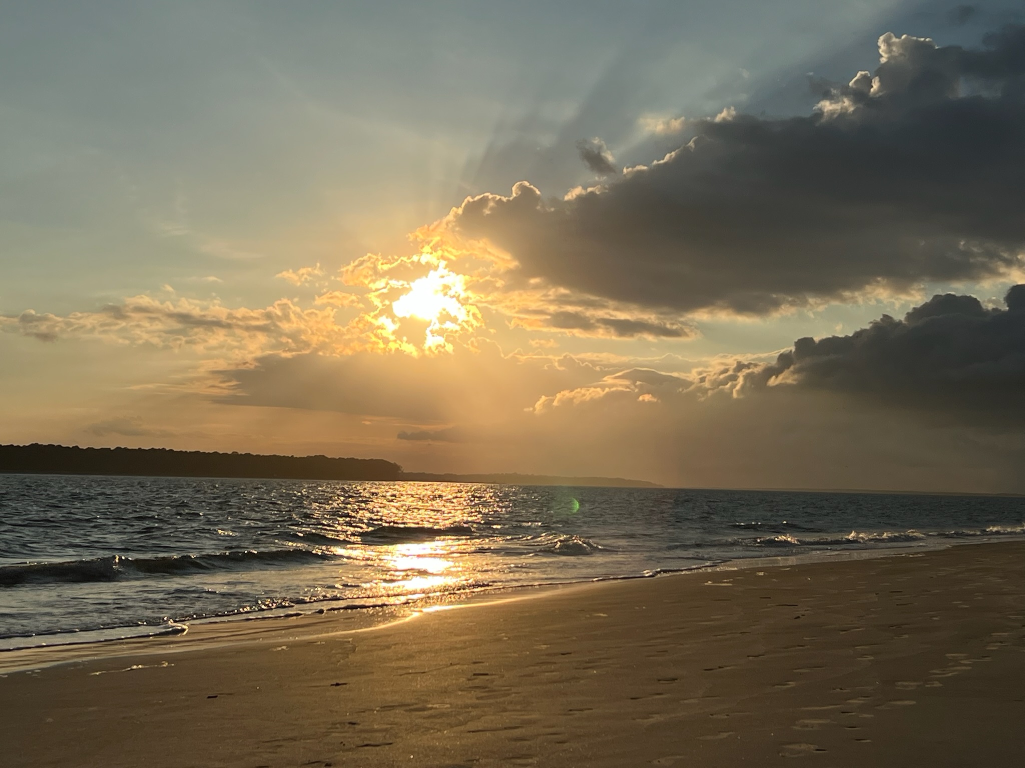 ED54153F-A96F-49EE-A521-8862EE5E1DE3